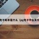 pg电子助单是什么（pg电子平台支付宝）